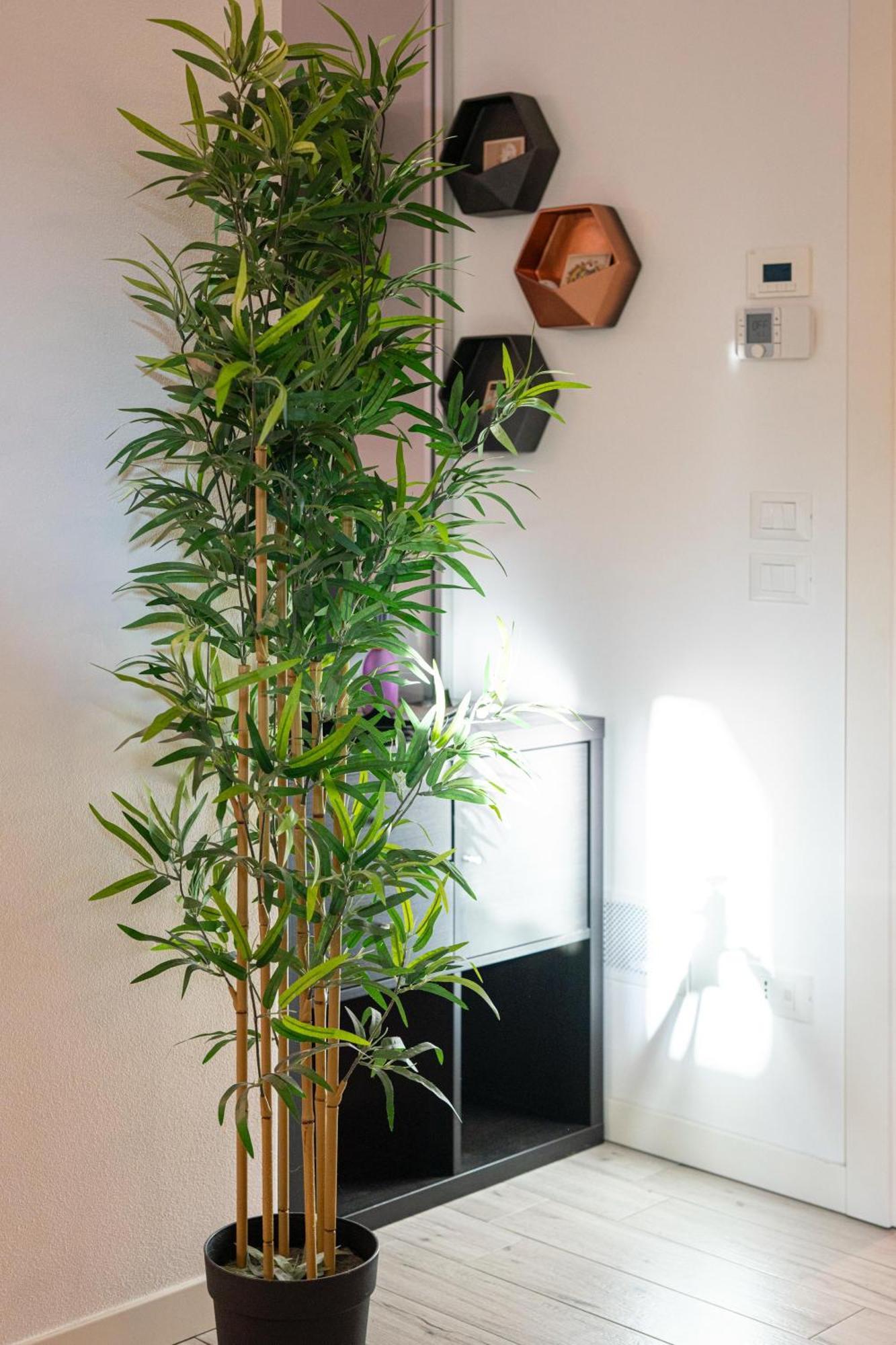Vera Home Savignano sul Rubicone Luaran gambar